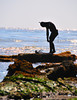 Andrew > Lone skin diver at Goleta beach